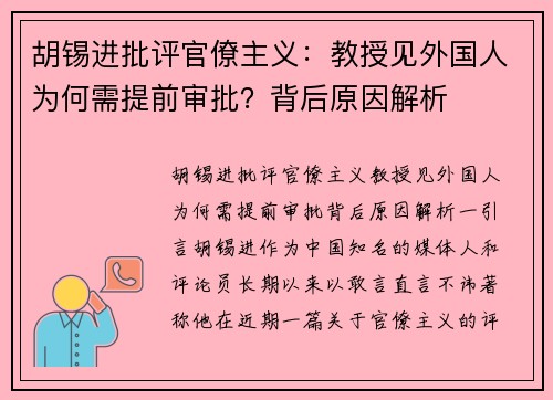 胡锡进批评官僚主义：教授见外国人为何需提前审批？背后原因解析